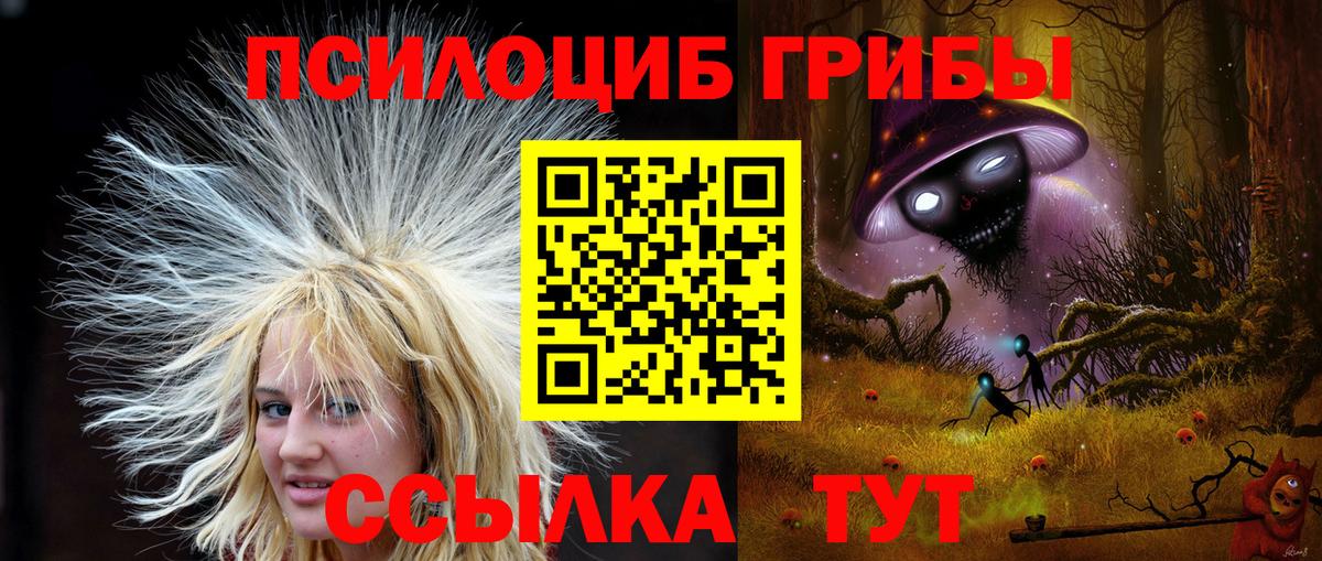 Александров  Псилоцибиновые грибы мухоморы  Псилоцибиновые грибы прущие грибы  Вход с VPN 