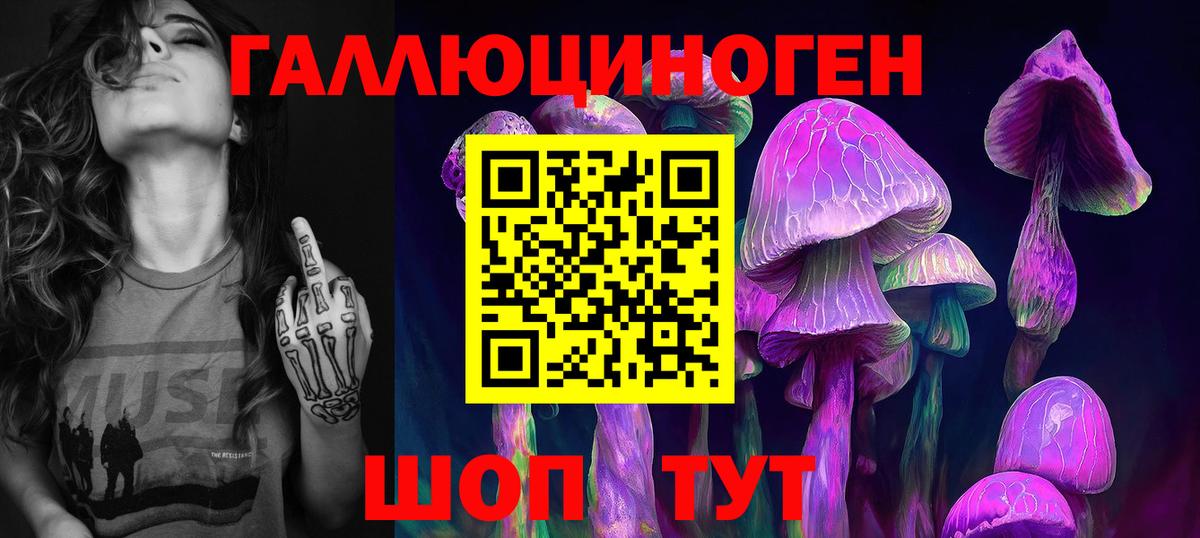 Псилоцибиновые грибы ЛСД Александров